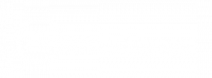WIdeCareers Official White Logo - 550 by 220 Pixels